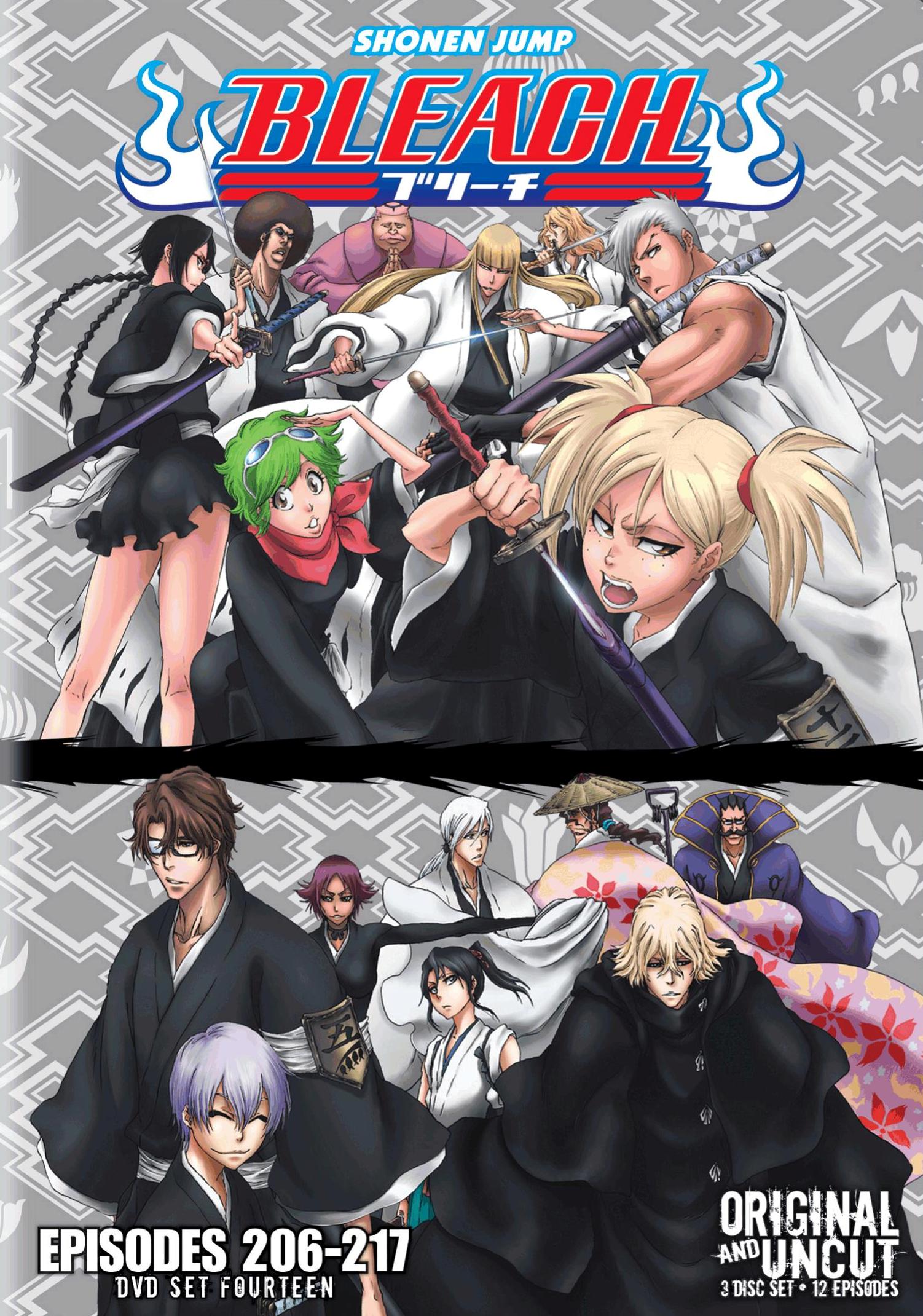 BLEACH Uncut S3 DVD Set 5-Discs Season 3 Ep 42-63 Anime Series