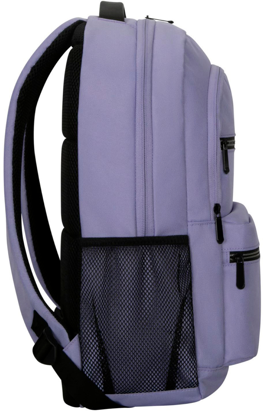 Targus Laptop Backpack  Find Your Professional Backpack Online – Targus AP