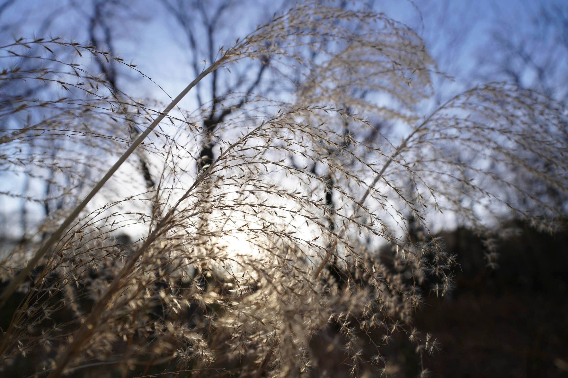 Alt View 29. Sony - Alpha FE PZ 16-35mm F4 G full-frame constant-aperture wide-angle power zoom G Lens - Black.