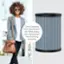 The image features a woman wearing a suit and carrying a brown purse. She is standing next to a large air filter, which is advertised as keeping the PureZonet mini running smoothly. The woman is also holding a water bottle, which is placed near the air filter.
