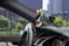 Angle. Scosche - StickIt Suction Window Flexneck Universal Mount - Black.