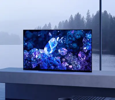 Sony 42 Sony 42