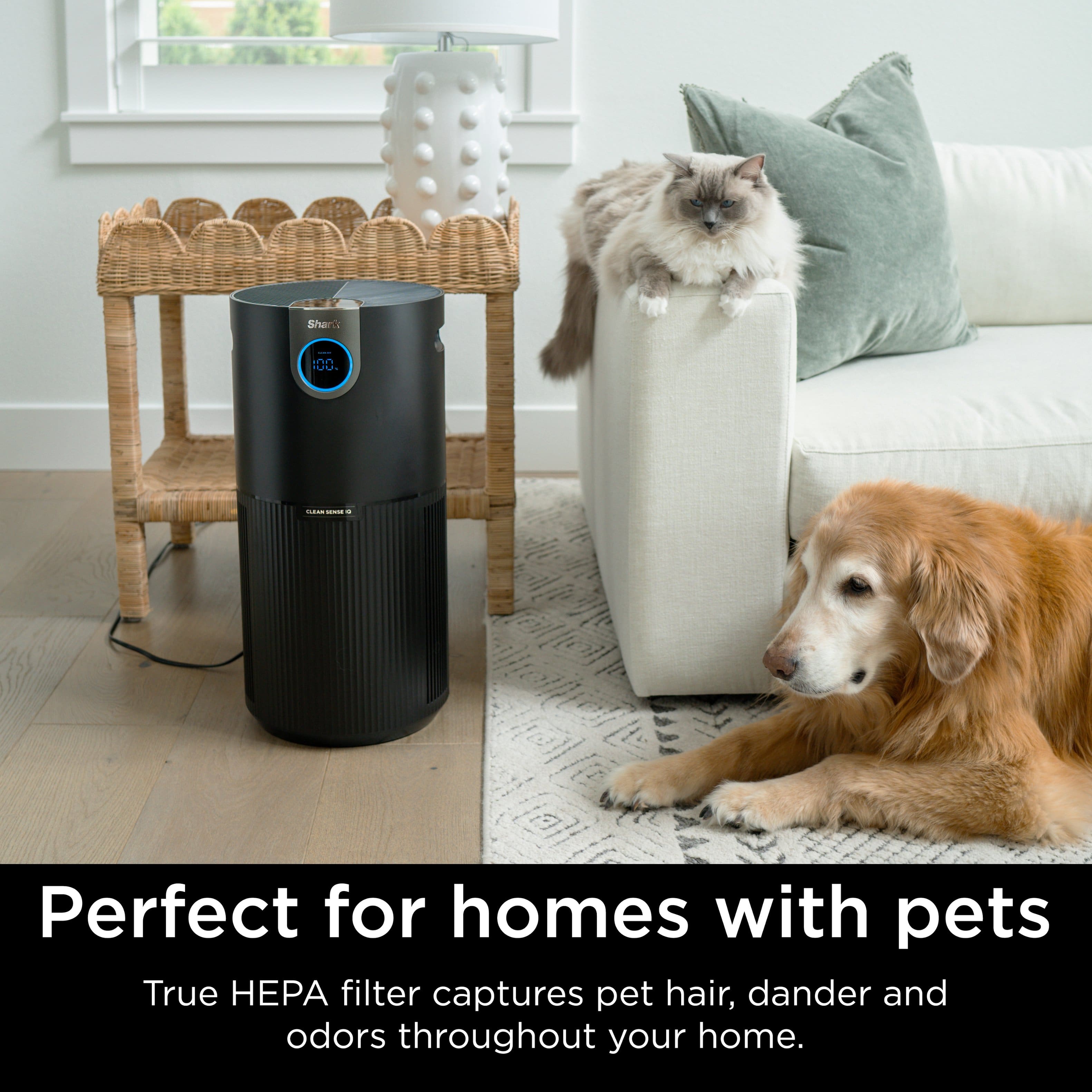 Perfect for homes with pets. True HEPA filter captures pet hair, dander and odors throughout your home.