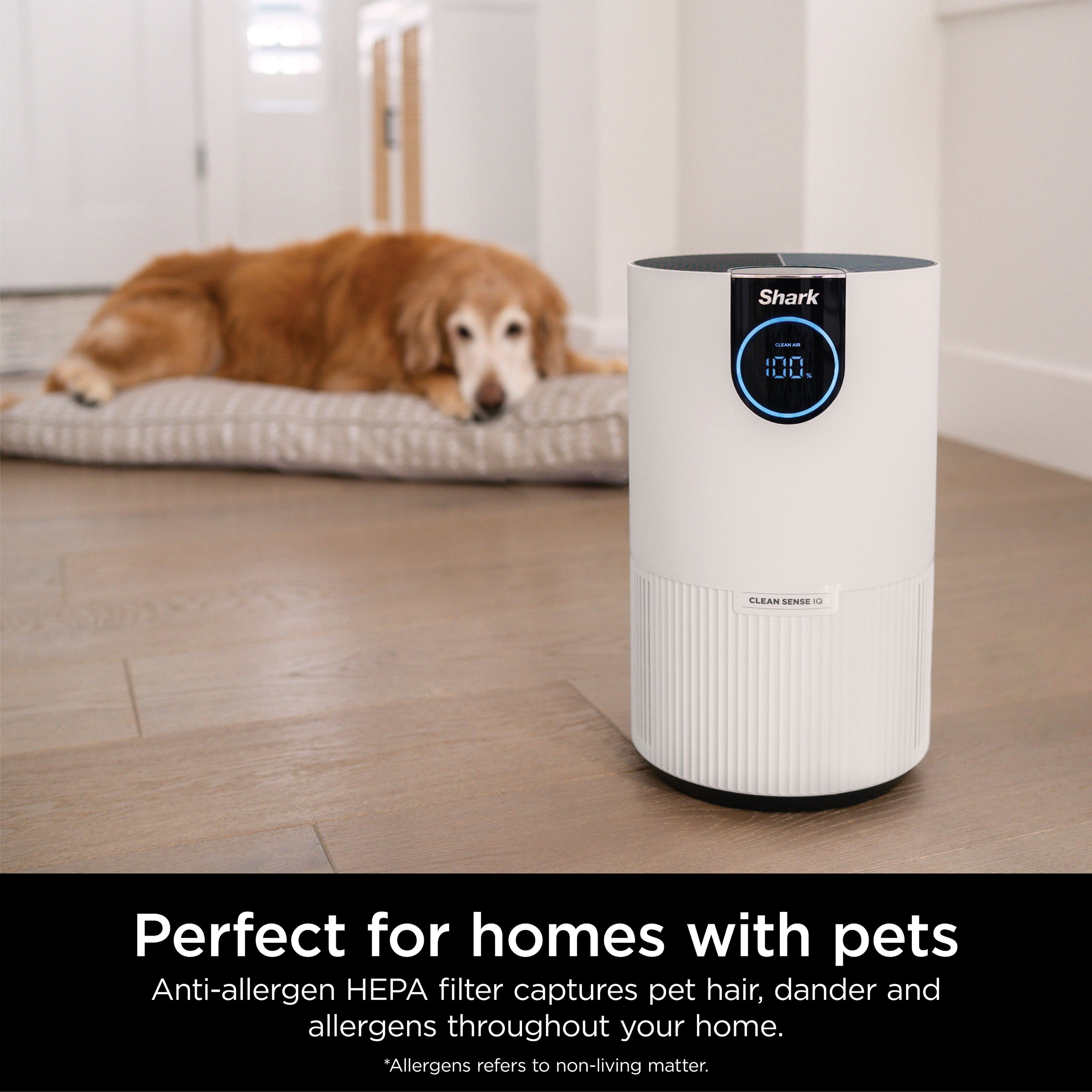 The image features a white Shark air purifier placed on a wooden floor, with a dog lying on a nearby pillow. The air purifier is designed to capture pet hair, dander, and allergens throughout the home, making it perfect for homes with pets. The text emphasizes that the Shark air purifier is an effective solution for maintaining a clean and allergen-free environment for both pets and their owners.