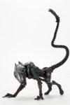 Front Zoom. NECA - Aliens 7" Scale Action Figure - Ultimate Kenner Tribute Night Cougar Alien.