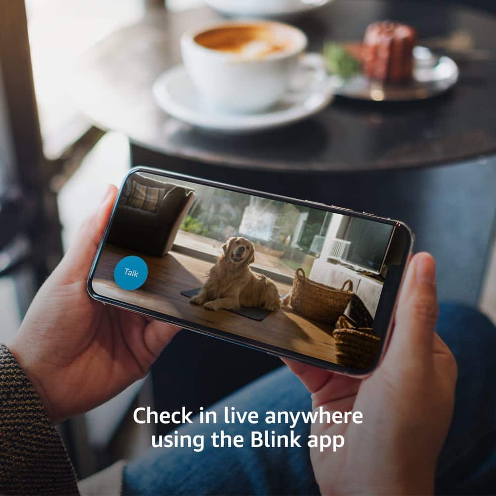 Talk Check in live anywhere using the Blink app.