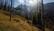 Alt View 13. THQ Nordic Games - Way of The Hunter.