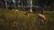 Alt View 14. THQ Nordic Games - Way of The Hunter.