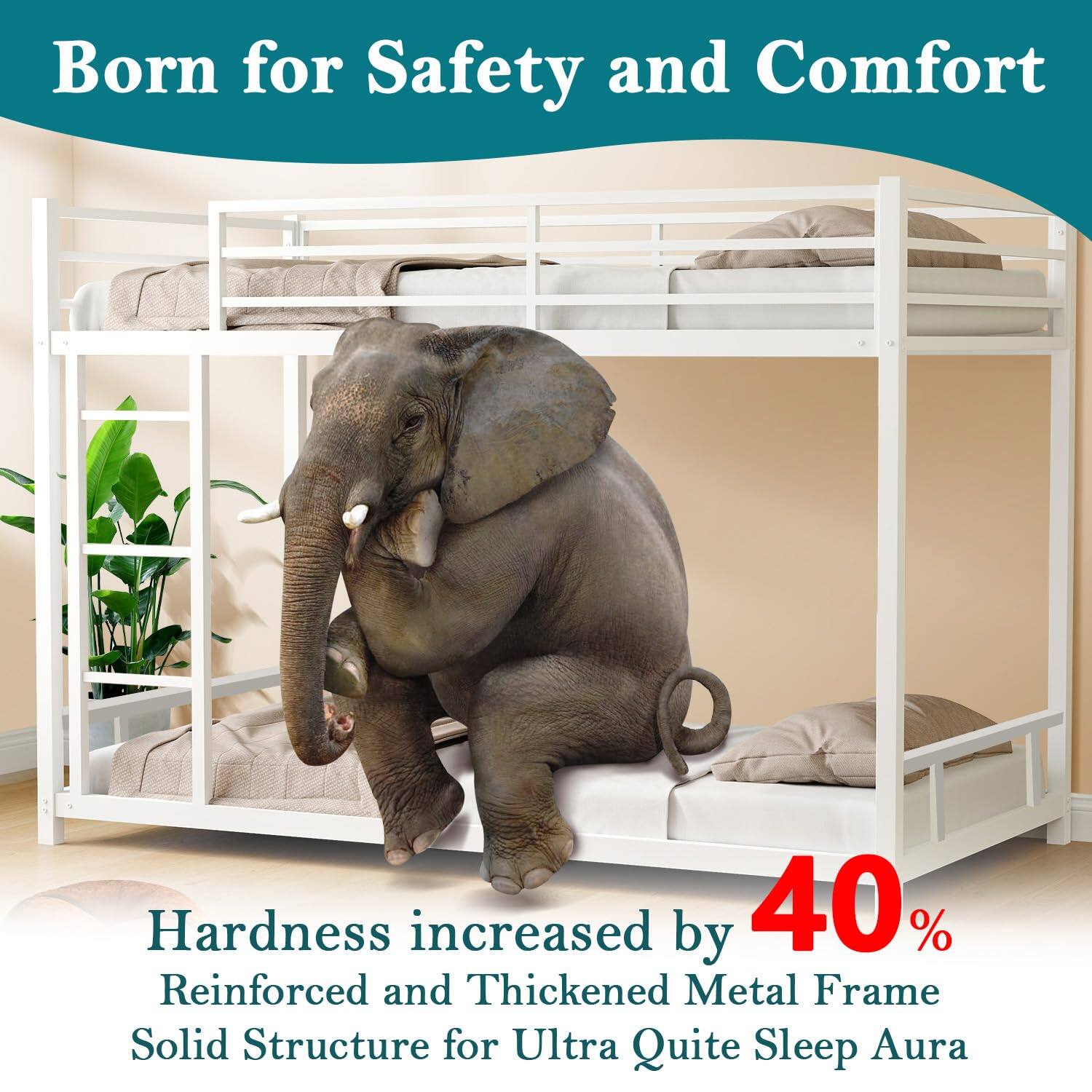 Born for Safety and Comfort

Hardness increased by 40%
Reinforced and Thickened Metal Frame
Solid Structure for Ultra Quite Sleep Aura