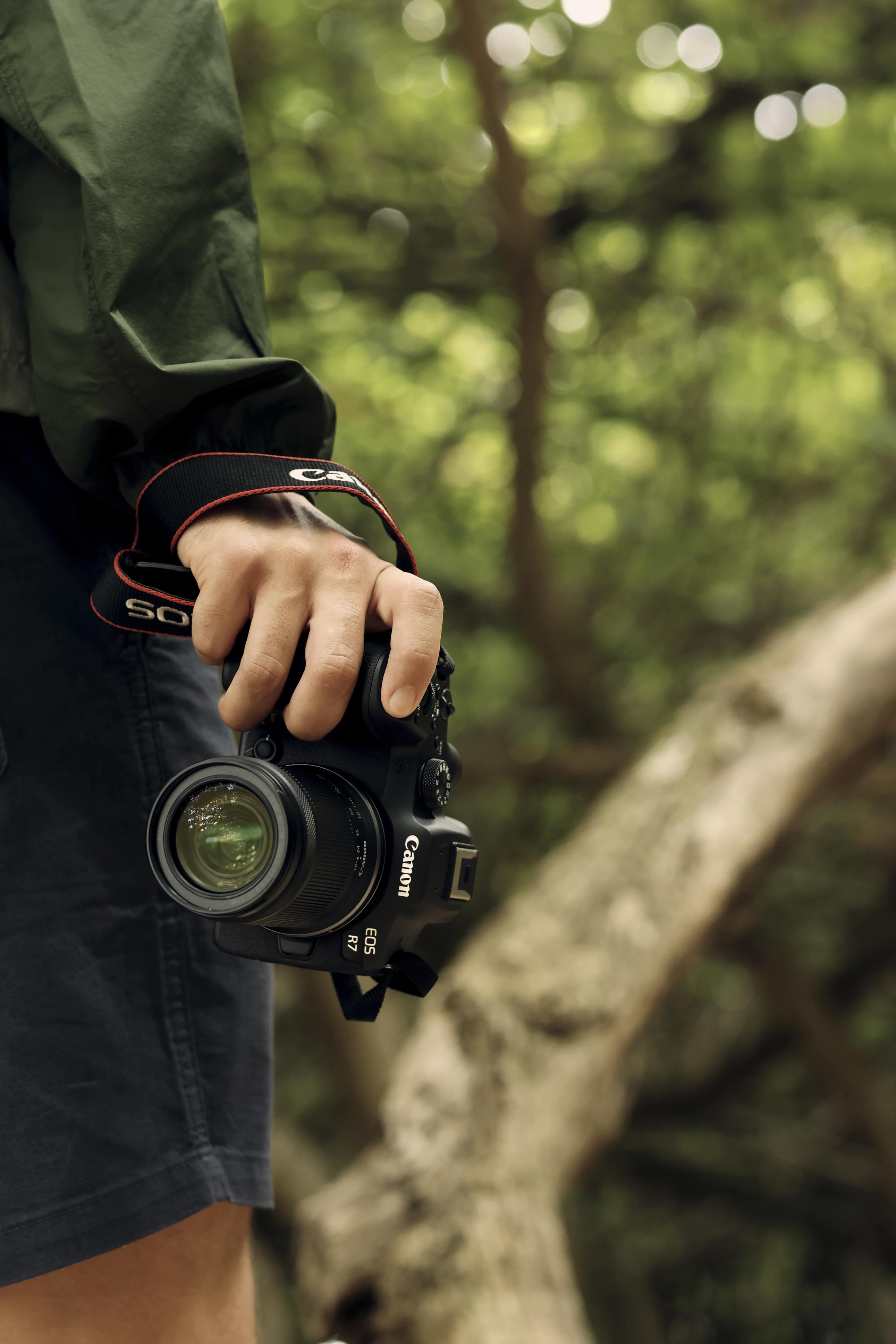 camara digital canon mirrorless r7 incluye 1 lente rf-s 18-150mm f