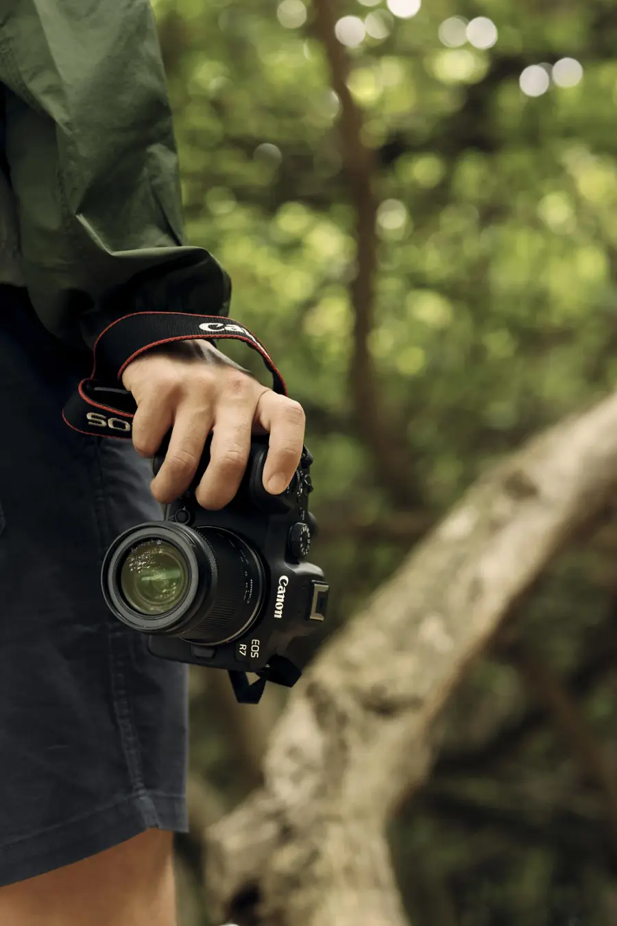 Alt View 21. Canon - EOS R7 Mirrorless Camera with RF-S 18-150mm f/3.5-6.3 IS STM Lens - Black.