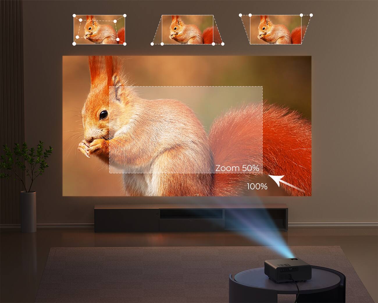 The text on the image reads "Zoom 50% 100%."