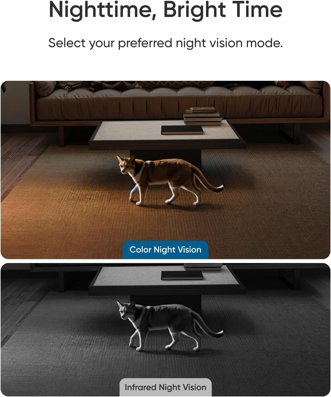 Nighttime, Bright Time  
Select your preferred night vision mode.  

Color Night Vision  
Infrared Night Vision