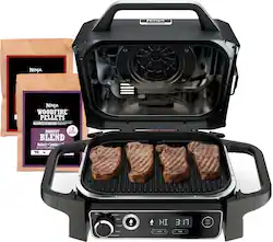 Ninja - Woodfire Outdoor Grill & Smoker, 7-in-1 Master Grill, BBQ Smoker, & Outdoor Air Fryer with Woodfire Technology - Gray - Angle_Zoom