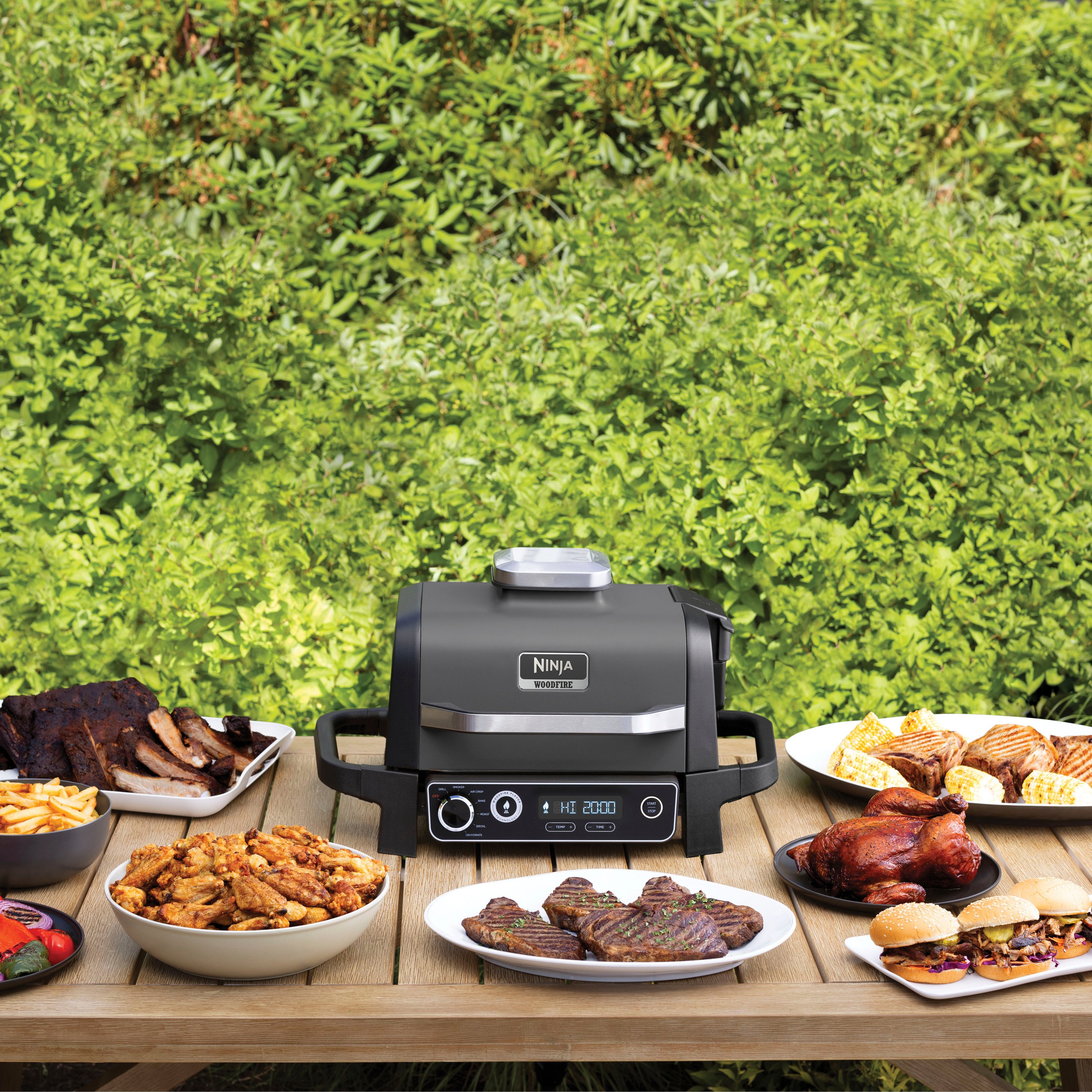 Ninja Woodfire 3-in-1 Outdoor Grill, Master Grill, BBQ Smoker, & Outdoor  Air Fryer with Woodfire Technology, OG700 