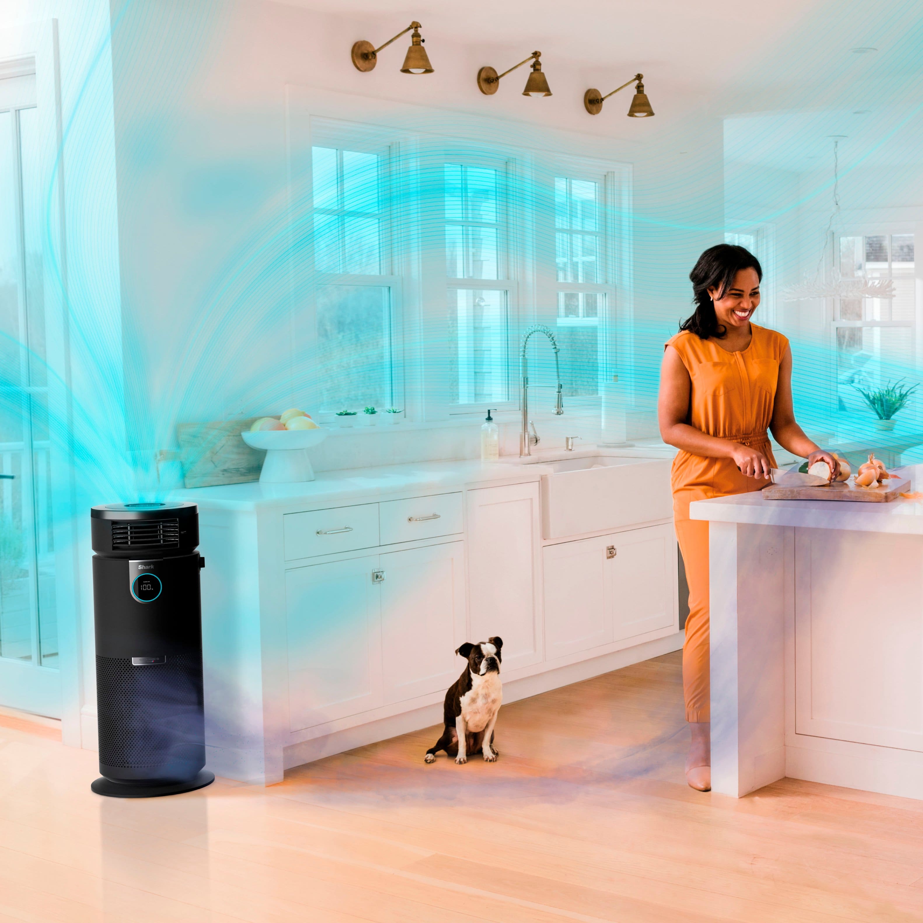 The image features a Shark air purifier that displays the amount of PM (particulate matter) in the air. It includes dust, mold, and pollen, as well as smoke and bacteria. The air purifier also has a toggle feature to switch between three particle sizes: PM10, PM2.5, and PM1. Additionally, it provides air quality information, which helps users monitor the quality of the air they are breathing.
