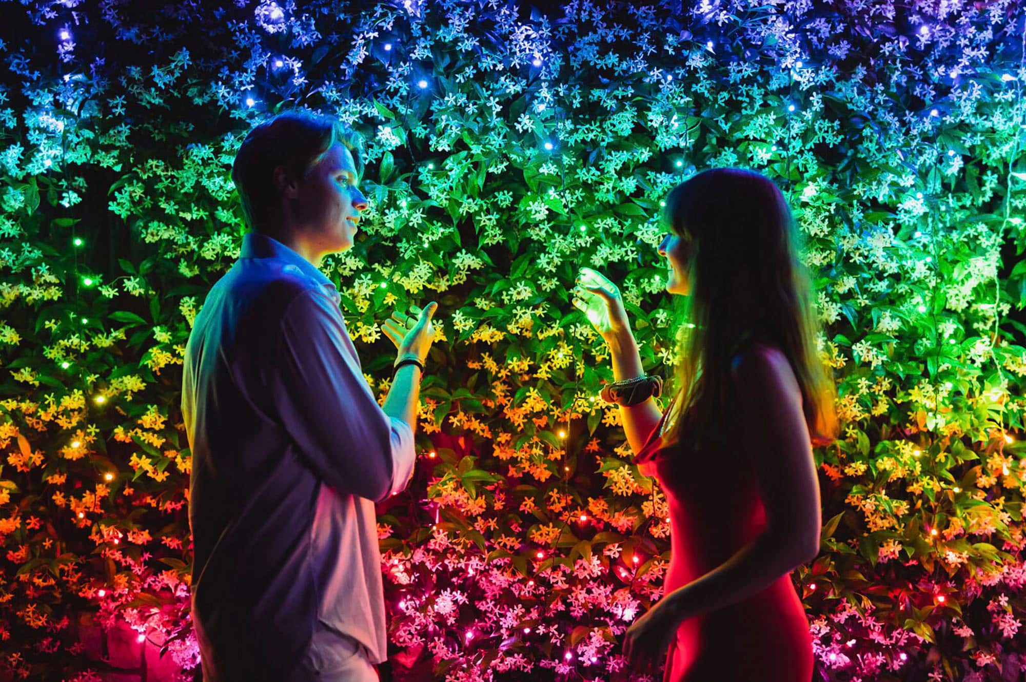 Alt View 16. Twinkly - Smart Light 400 RGB LED Light String and 60 Dots (Gen 2) - Multi.