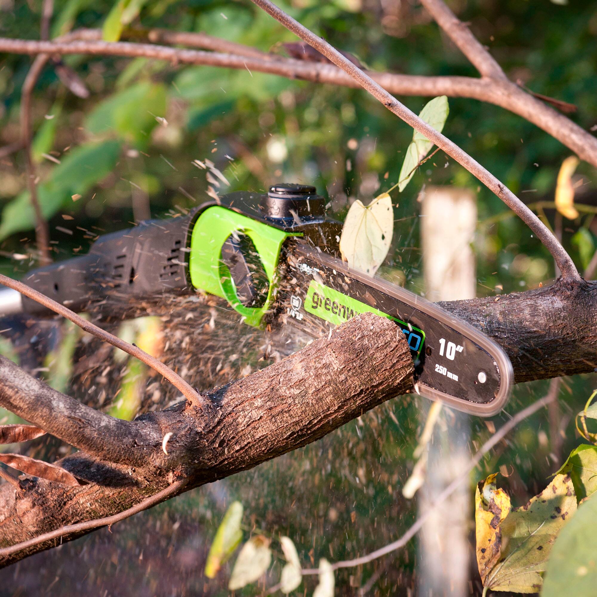 Alt View 15. Greenworks - 80-Volt 10-Inch Brushless Cordless Pole Saw with 14.5 foot reach (1 x 2Ah Battery and Charger) - Green.