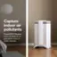 Capture indoor air pollutants: HyperHEPA filtration removes 99.97% of pollutants down to 0.003 microns.