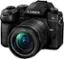 Angle. Panasonic - LUMIX G95 Mirrorless 4K Camera with 12-60mm F3.5-5.6 Micro Four Thirds Lens - Black.
