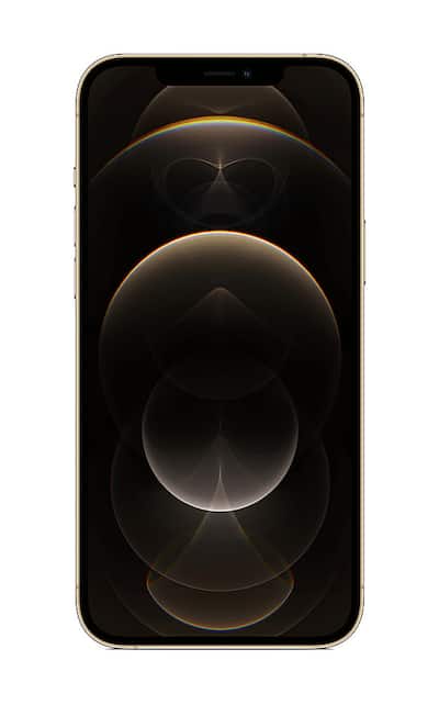 Apple Pre Owned Excellent iPhone 12 Pro Max 5G 256GB (Unlocked Apple Pre Owned Excellent iPhone 12 Pro Max 5G 256GB (Unlocked