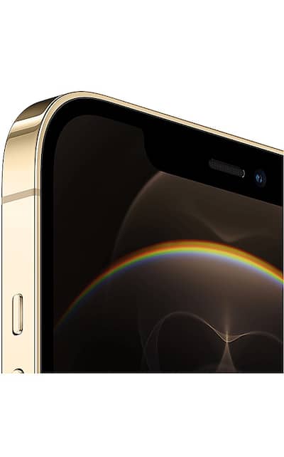 Apple Pre Owned Excellent iPhone 12 Pro Max 5G 256GB (Unlocked Apple Pre Owned Excellent iPhone 12 Pro Max 5G 256GB (Unlocked
