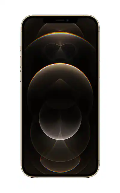 L'iPhone 12 pro Max 128 Go à 700 L'iPhone 12 pro Max 128 Go à 700