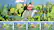 Alt View 24. Adobe - Photoshop Elements 2023 & Premiere Elements Student & Teacher Edition 2023.