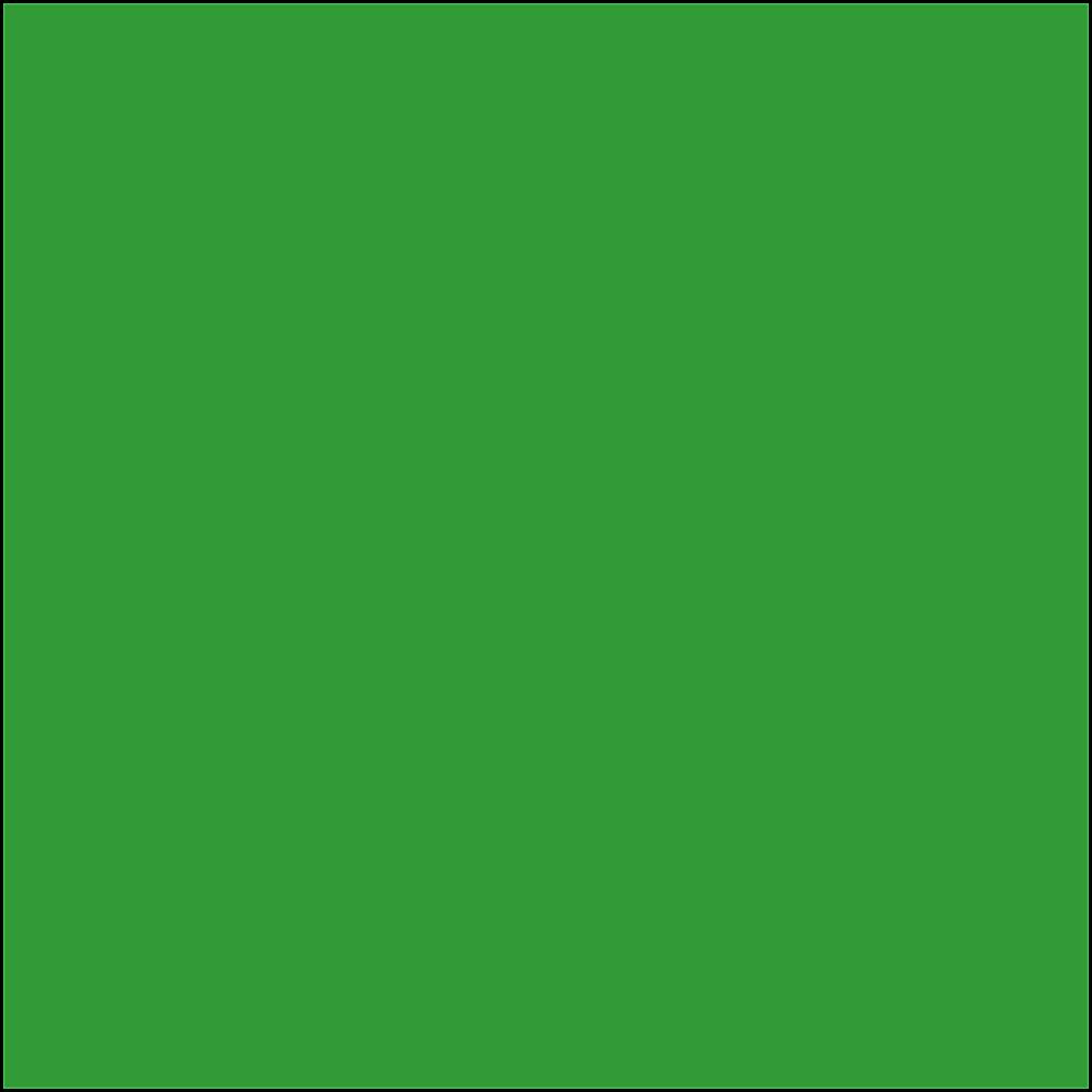 Alt View 12. Savage - Seamless Background Paper - Tech Green.