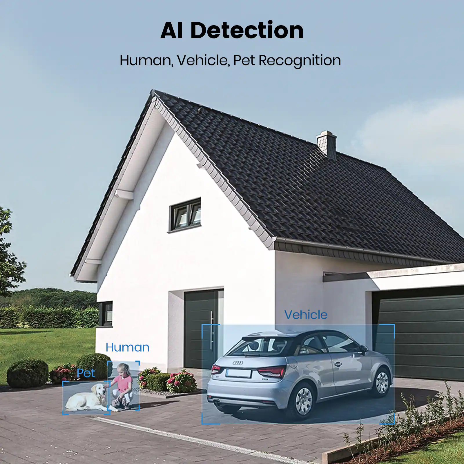 AI Detection  
Human, Vehicle, Pet Recognition  

Human  
Vehicle  
Pet