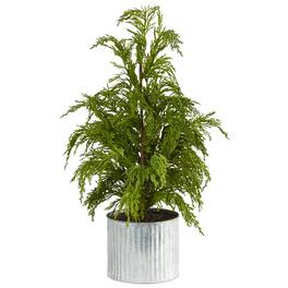 BreeBe - 20” Cedar Pine “Natural Look” Tree in Decorative Planter - Green