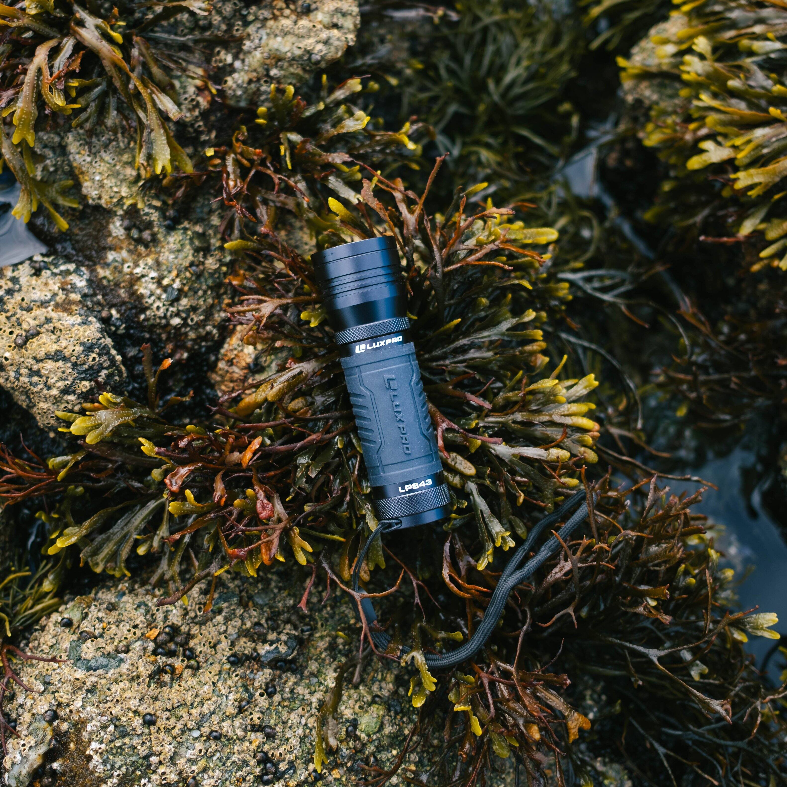 LUXPRO PRO L LUXPRO LP843