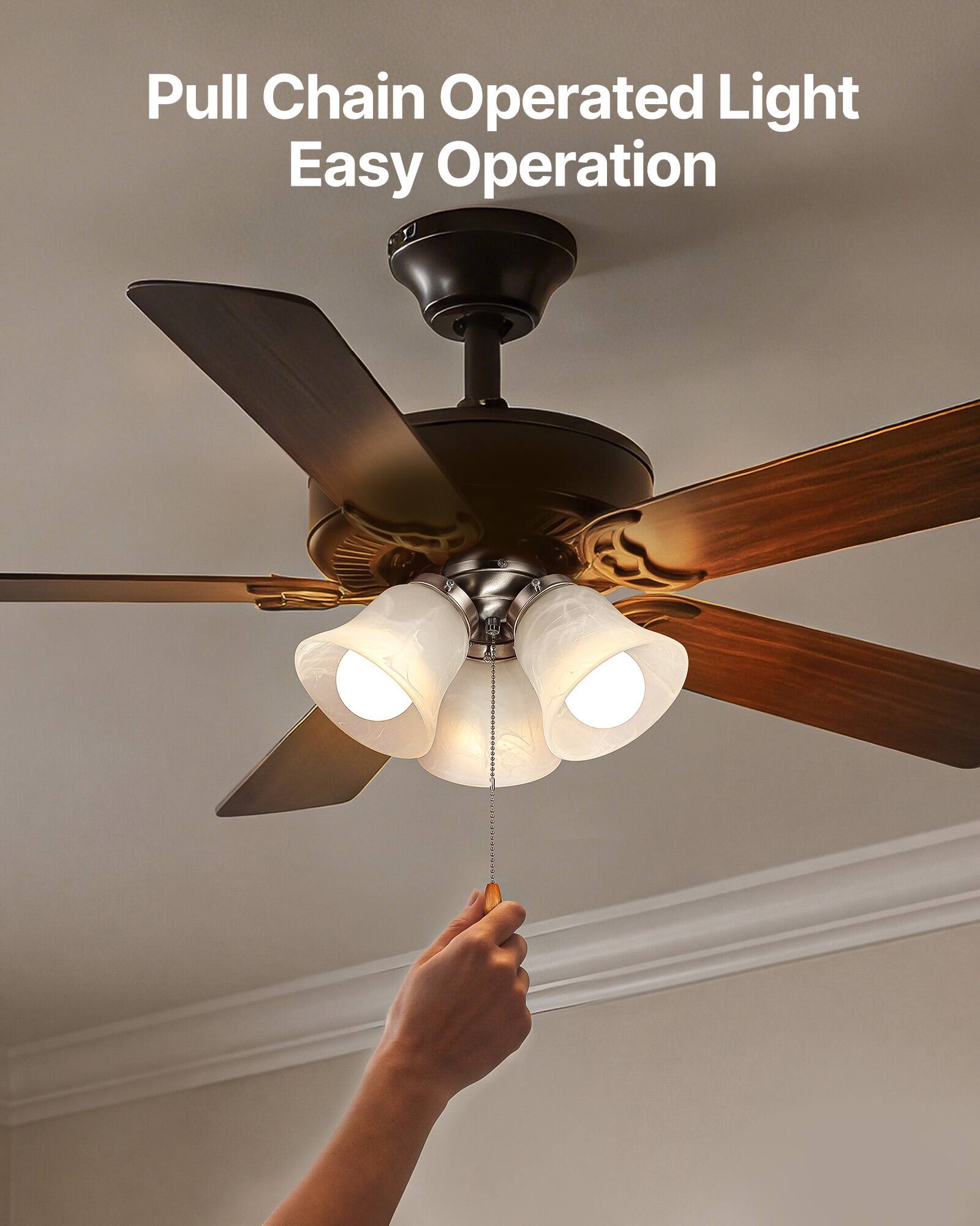 Pull Chain Operated Light  
Easy Operation