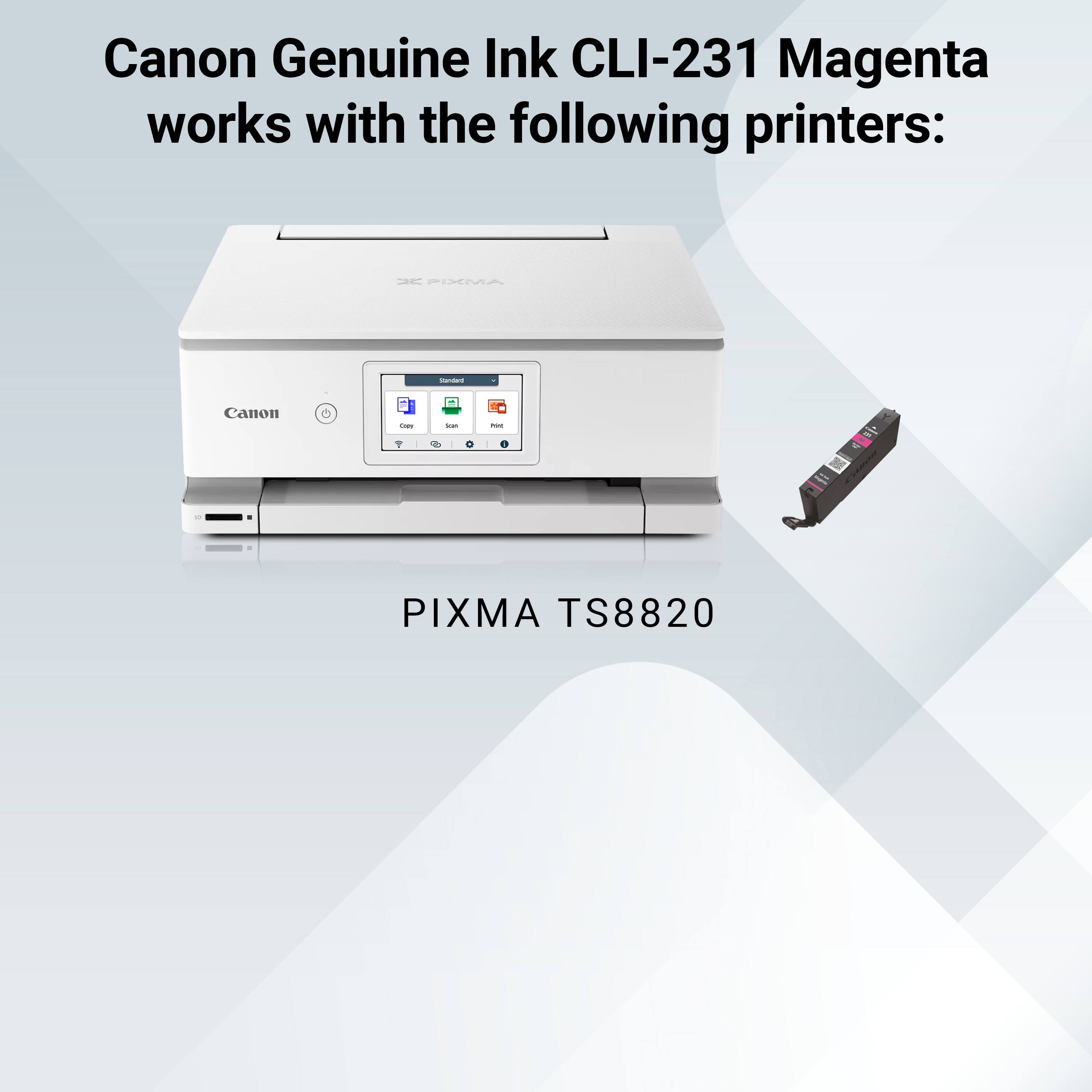 Canon Genuine Ink CLI-231 Magenta works with the following printers:

- PIXMA TS8820