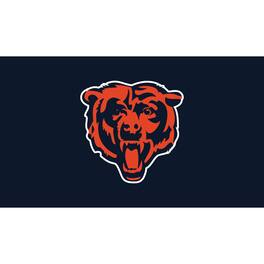 Evergreen Enterprises - Chicago Bears 28" x 16" Turf Mat - Multicolor