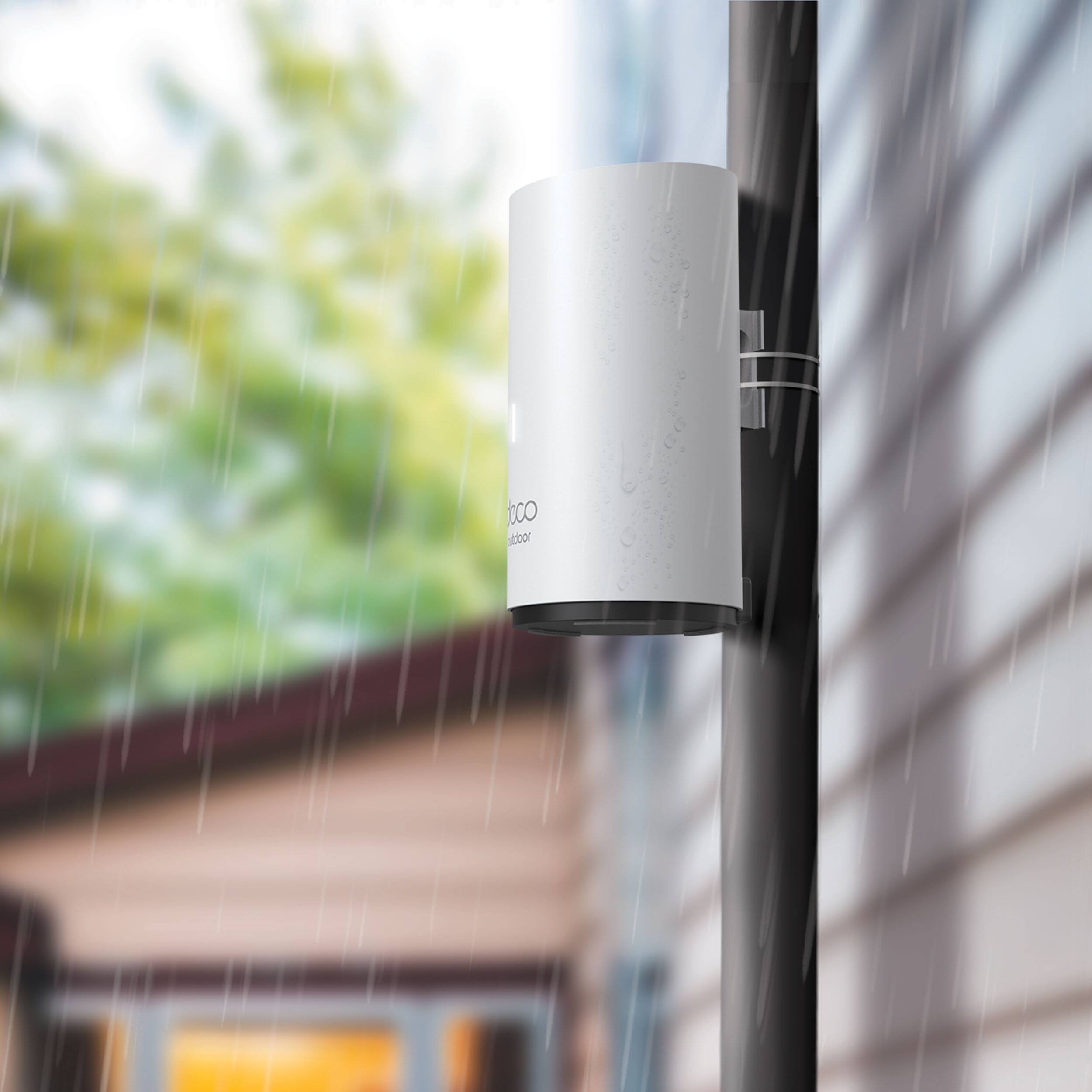 The text on the image reads "ToCo corb."