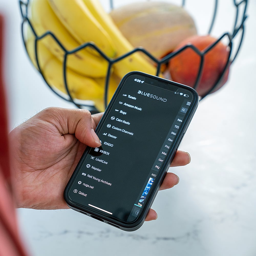 The text on the image reads: "4:25 JE - BLUESOUND Tuneln Amazon Music Bugs Calm Radio Nov Custom TID M Channels Mar Deezer Rec IDAGIO Pop KKBOX Mor x LiveXLive Ger Napster My NYA Nell REC Young nugs.net Archives Dobuz The."