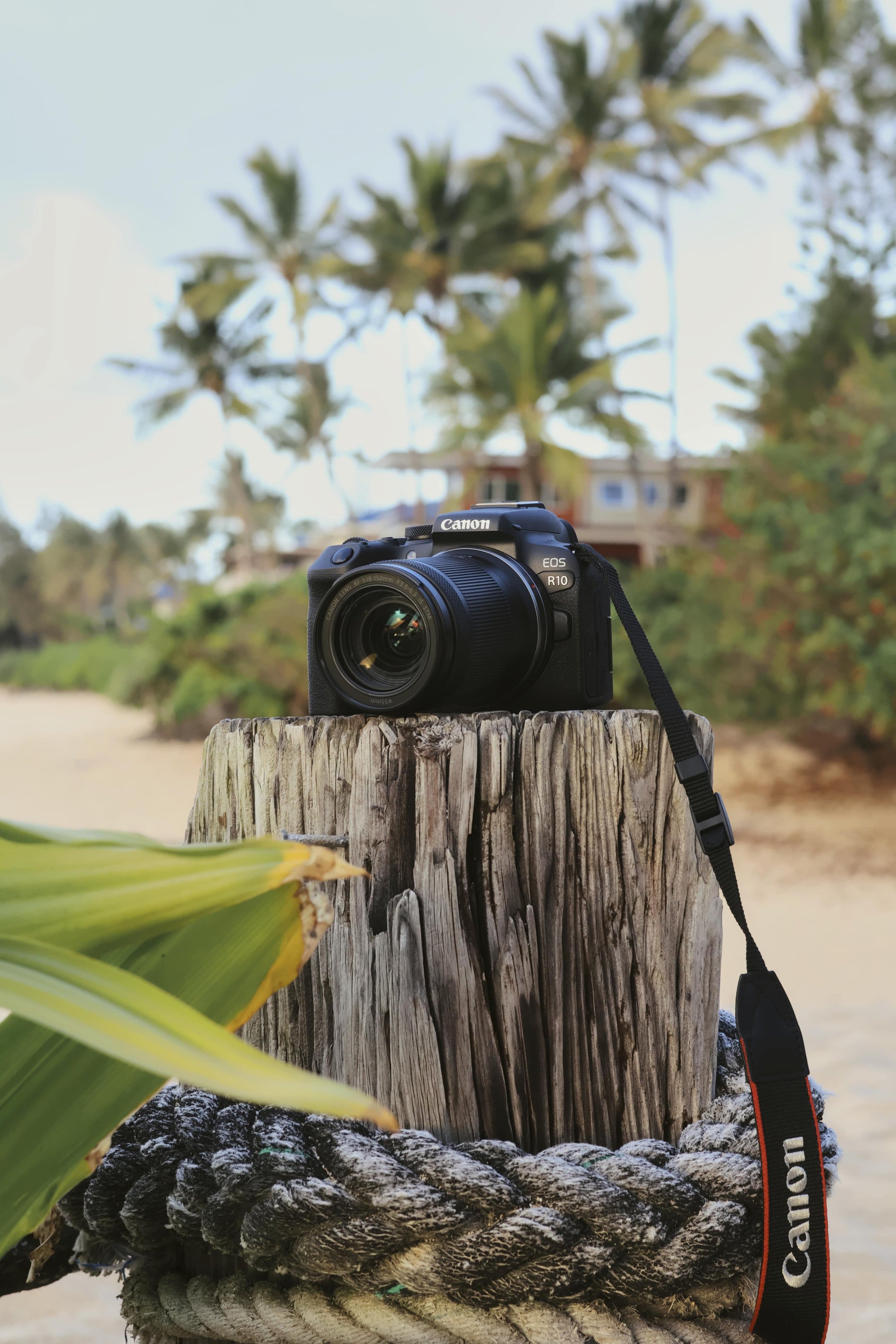 Alt View 29. Canon - EOS R10 Mirrorless Camera with RF-S 18-45 f/4.5-6.3 IS STM Lens Content Creator Kit - Black.