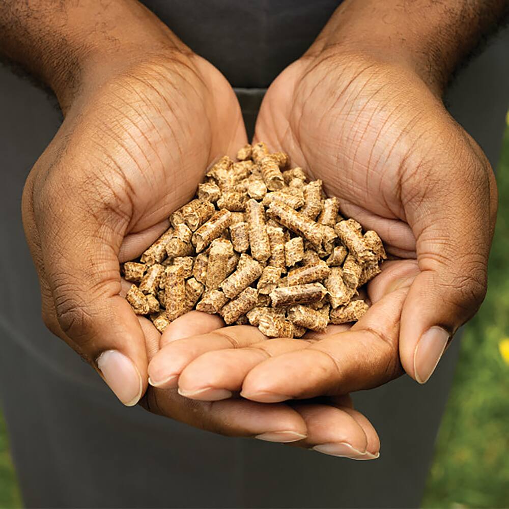 Alt View 12. Ninja - Woodfire Pellets, Robust Blend, 2-lb Bag - Natural.