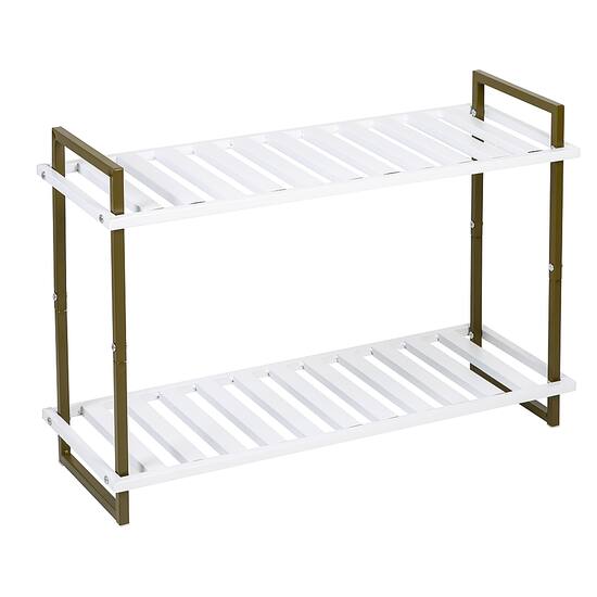 Best buy shoe online rack