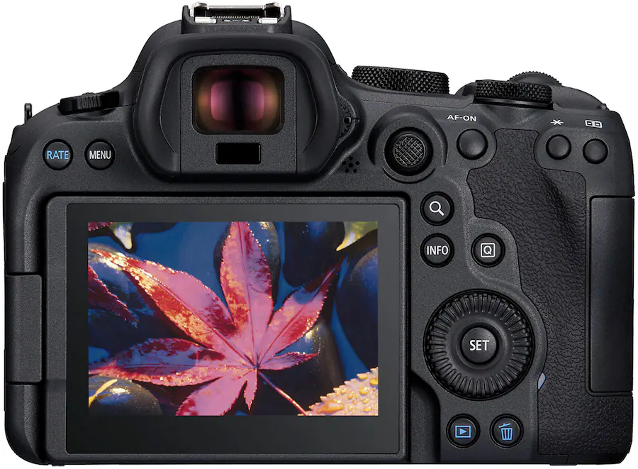 Canon EOS R6 Mark II Mirrorless Camera with RF24 105mm f/4 7.1 IS STM ...