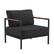 Front. Alamont Home - Lea Patio Lounge Chair - Charcoal.
