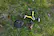 Alt View 16. Vivitar - VTI Skytracker GPS Drone - Black.