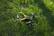 Alt View 17. Vivitar - VTI Skytracker GPS Drone - Black.