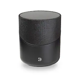 Bluesound - Omni-Hybrid Hi-Res Wireless Music Streaming Speaker - Black