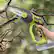 Alt View 13. Sun Joe - 24-Volt iON+ 5-Inch Cordless Pruning Saw (1 x 2Ah Battery and 1 x Charger) - Green.