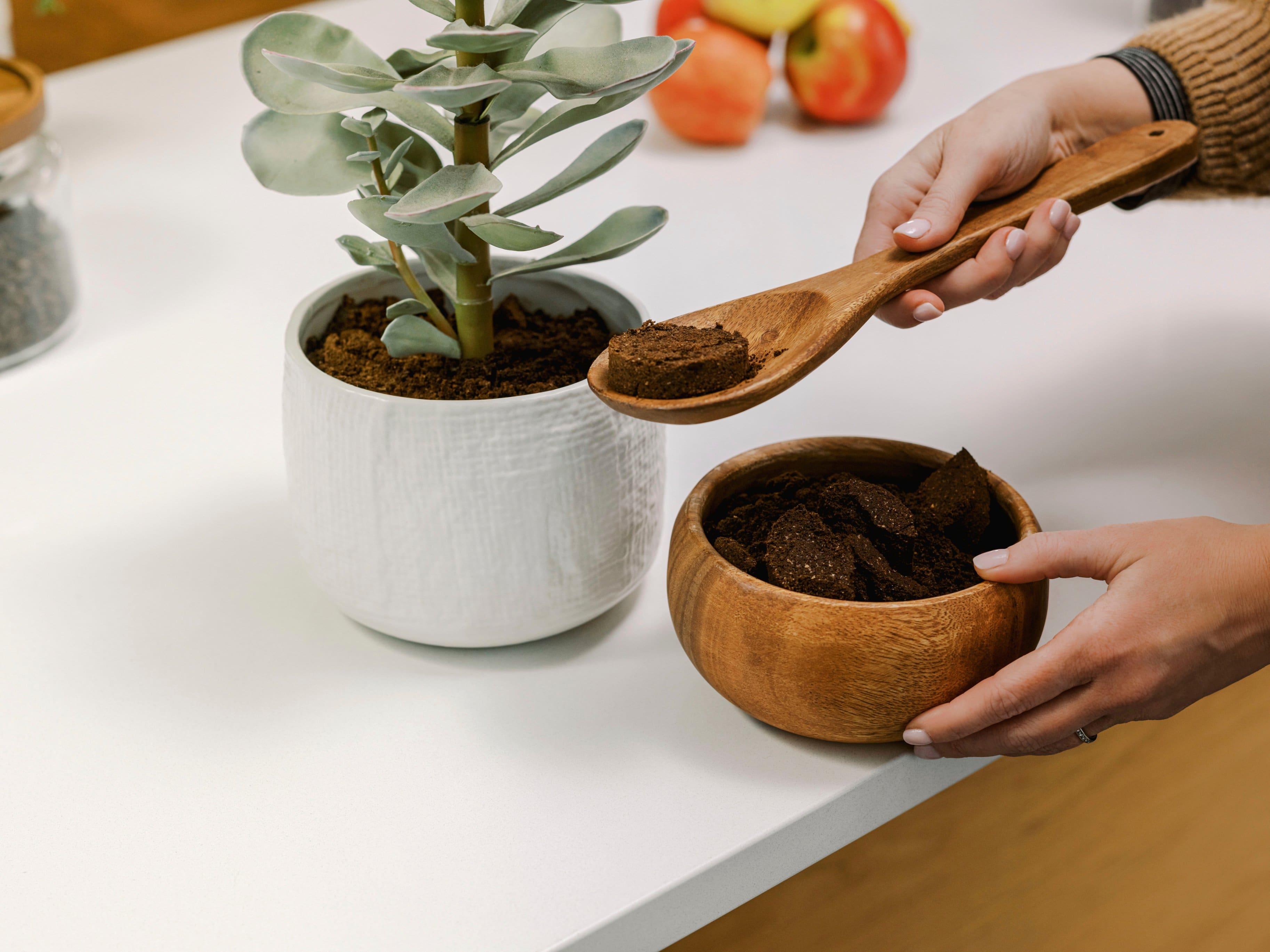 Alt View 14. De'Longhi - TrueBrew Automatic Single Serve, 8 oz to 24 oz Coffee Maker with Bean Extract Technology - Stainless Steel.