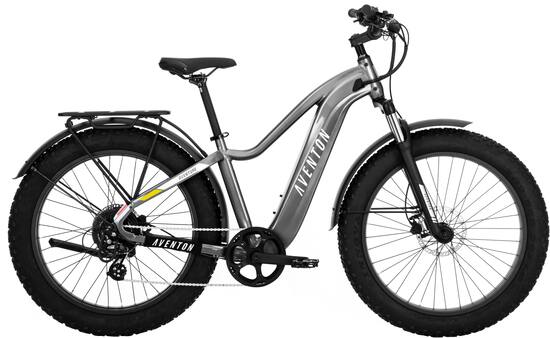 Ebikes 2024 best buy