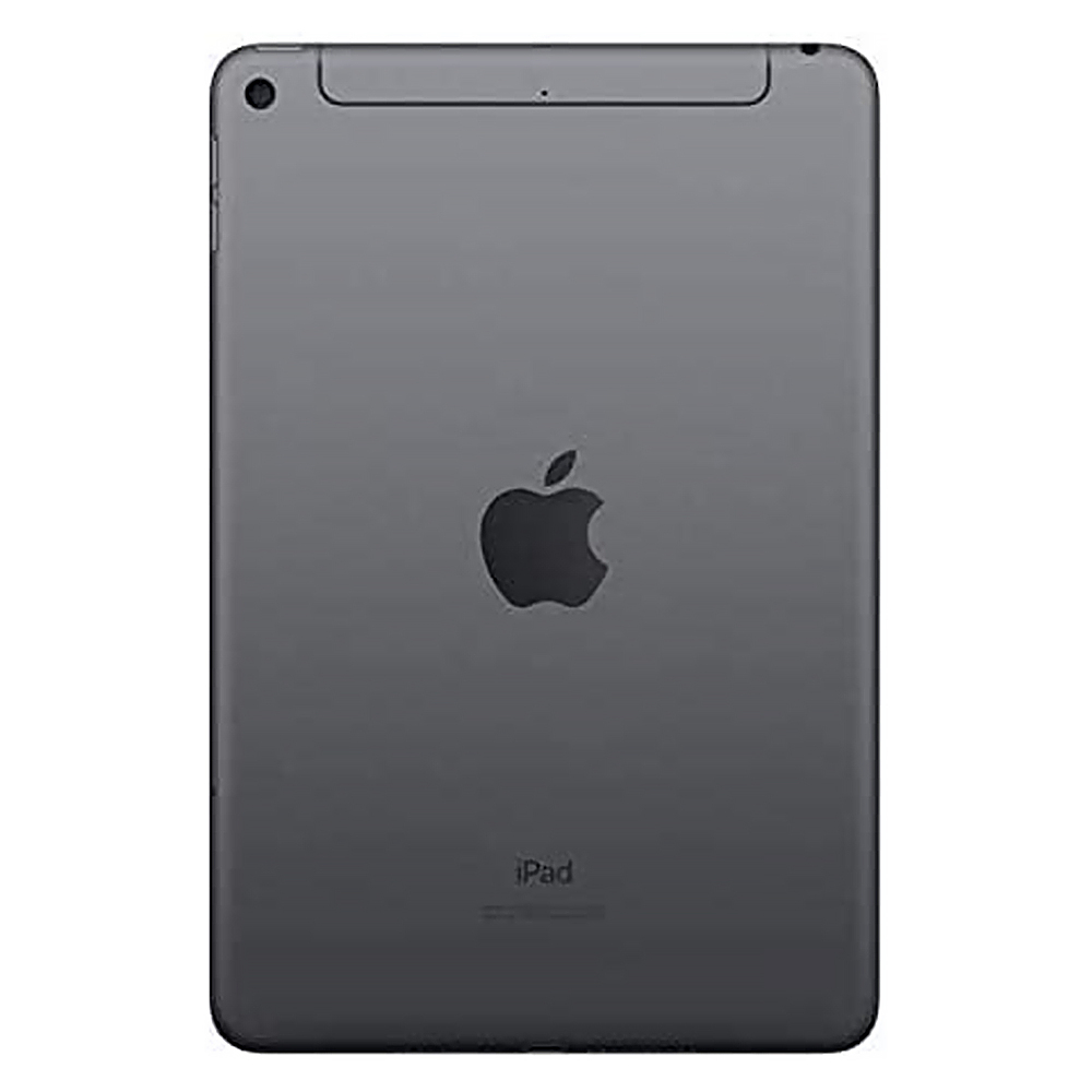 Apple Geek Squad Certified Refurbished 7.9-Inch iPad mini (5th Generation)  with Wi-Fi 64GB Space Gray GSRF MUQW2LL/A - Best Buy