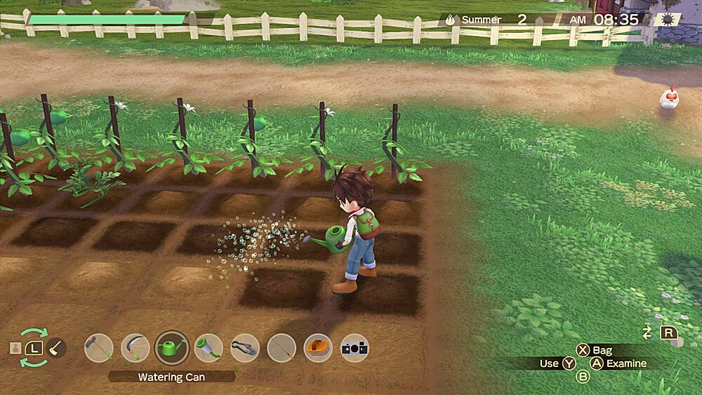 Story of Seasons: A Wonderful Life Premium Edition - Nintendo Switch